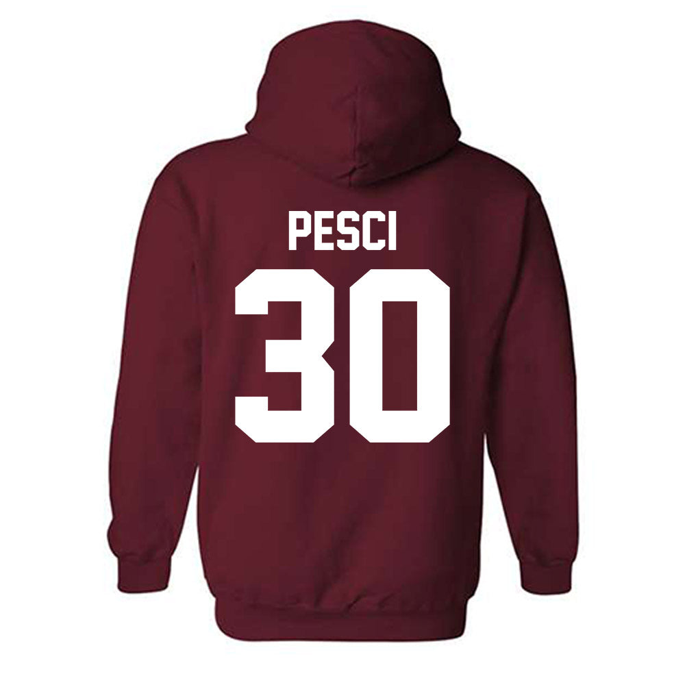Alabama - NCAA Baseball : Anthony Pesci - Classic Shersey Hooded Sweatshirt-1