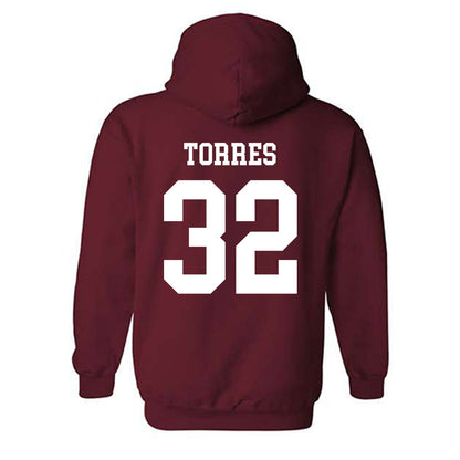 Alabama - NCAA Baseball : Jason Torres - Classic Hooded Sweatshirt-3