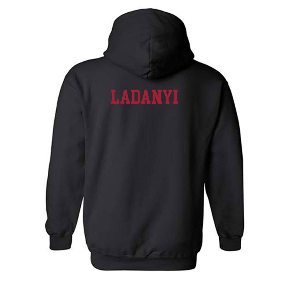 Alabama - NCAA Women's Gymnastics : Gabby Ladanyi - Classic Hooded Sweatshirt