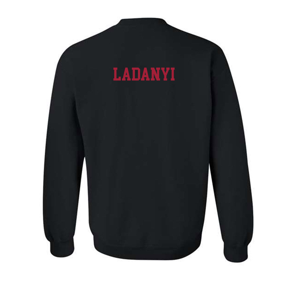 Alabama - NCAA Women's Gymnastics : Gabby Ladanyi - Classic Crewneck Sweatshirt