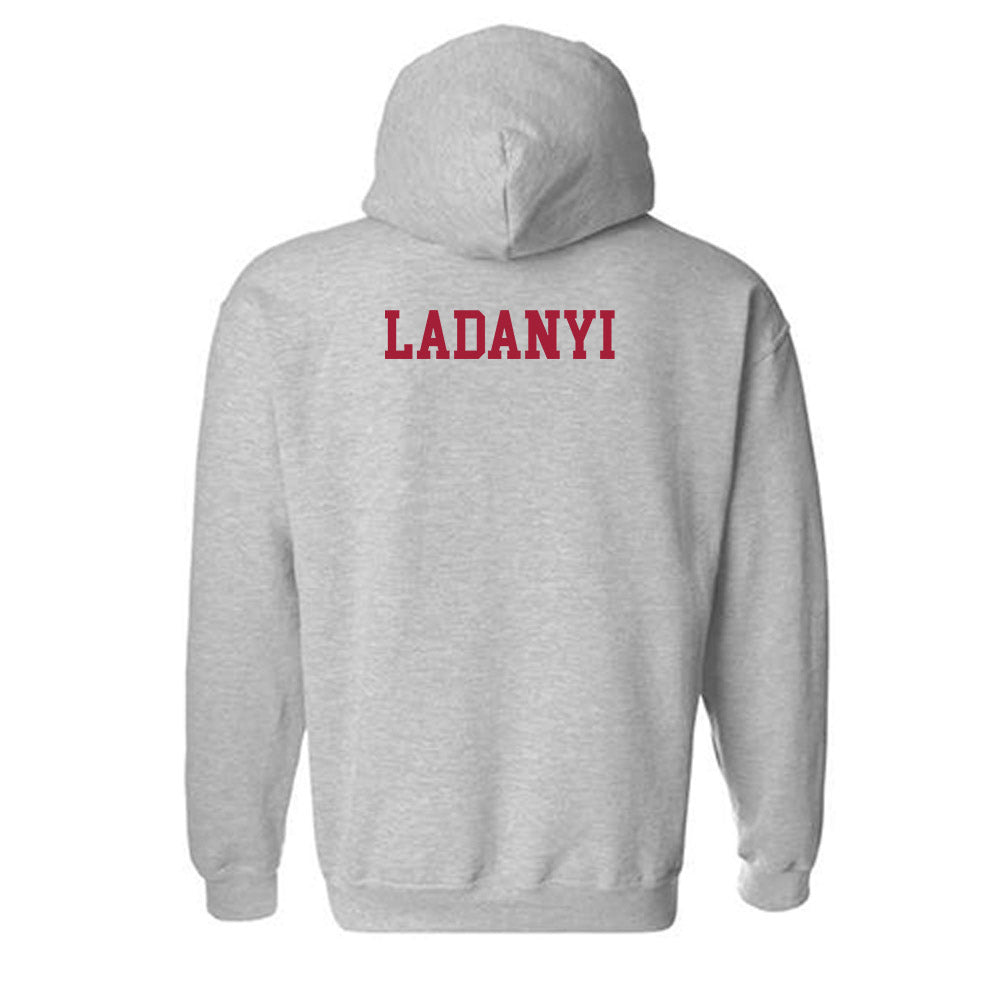 Alabama - NCAA Women's Gymnastics : Gabby Ladanyi - Classic Hooded Sweatshirt