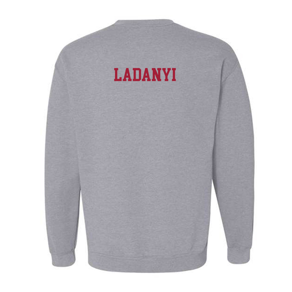 Alabama - NCAA Women's Gymnastics : Gabby Ladanyi - Classic Crewneck Sweatshirt