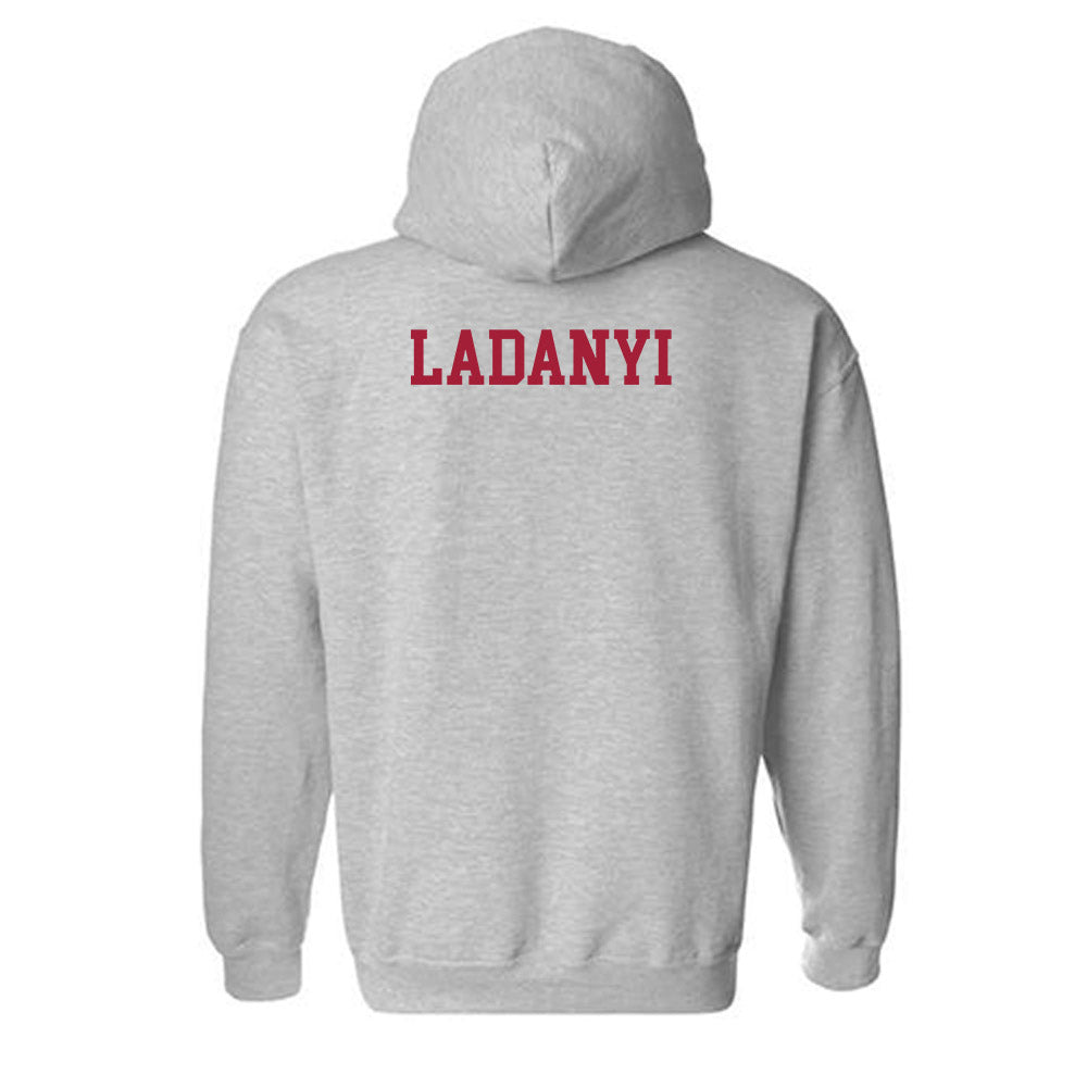 Alabama - NCAA Women's Gymnastics : Gabby Ladanyi - Classic Shersey Hooded Sweatshirt